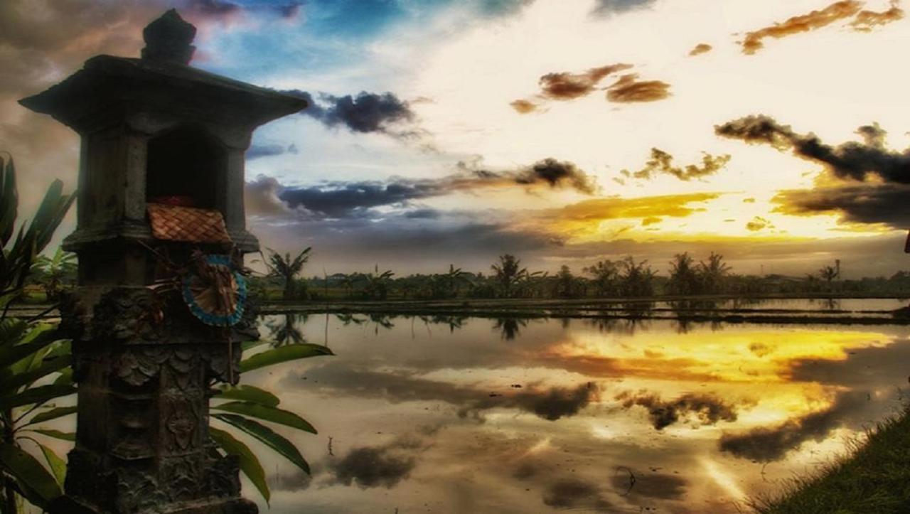 Pnb Bali Villas Canggu  Exterior photo